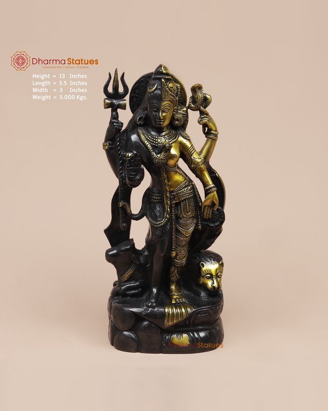 Ardhanarishvara, Dual Tone
