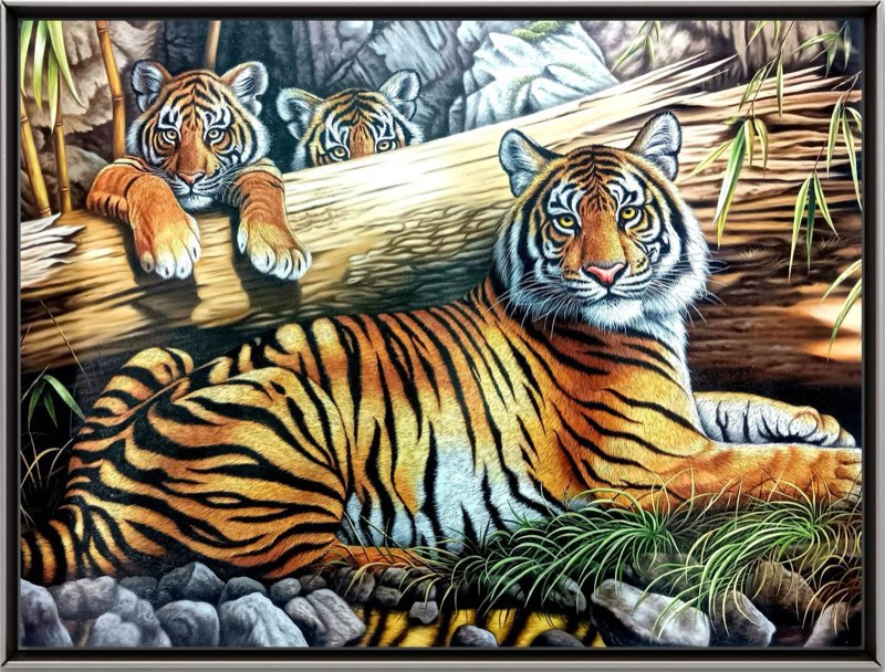 Big Cats Calling: Tiger Family