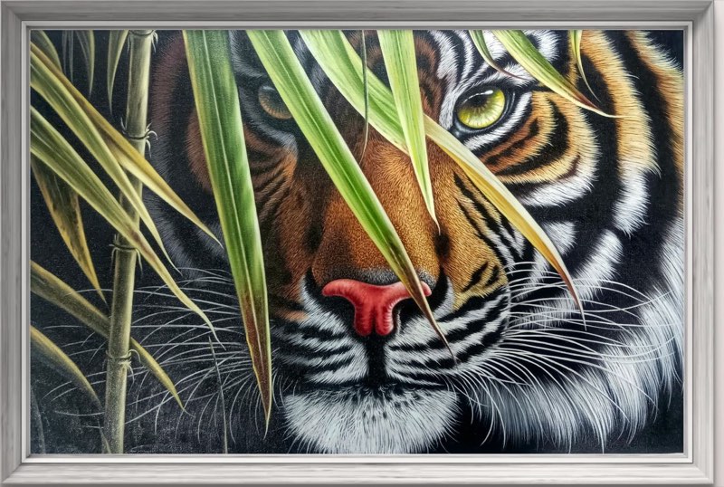 Big Cats Calling: Eyes in the Bamboo